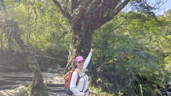 (姨婆趴趴走)第四十八集:新北草嶺古道（福隆車站-大里車站）2747656