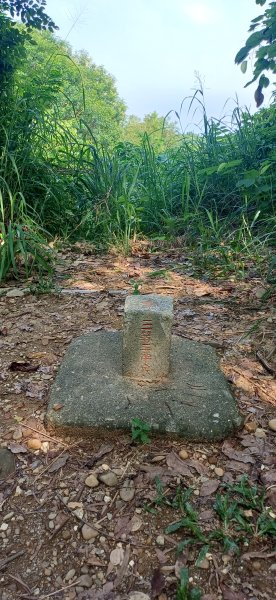 鳳凰山(尚書林山.雞母山).鳳山+大寮2895741
