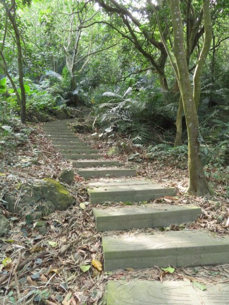 泰安登山步道‧隘勇古道‧巡圳道O形輕鬆走2007512