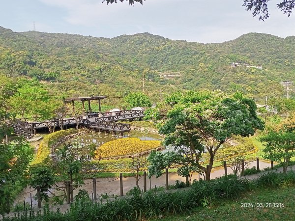 【臺北大縱走4】風櫃嘴→雙溪溝古道→五指山古道→大崙頭山北面步道→許願步道→圓覺寺步道→大溝溪→大湖2469123
