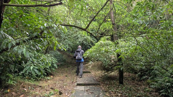 114.11.15平溪小黃山段-望古瀑布段之旅2937785