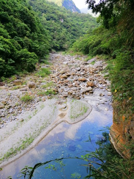 花蓮秀林~峻秀峽谷山水石壁畫~砂卡礑步道1039801