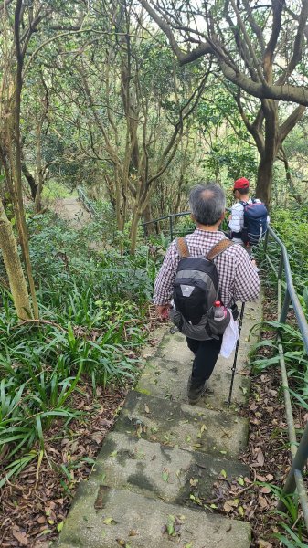 2025-0204 鶯歌_大凍山_三角埔頂山_迴龍2707969