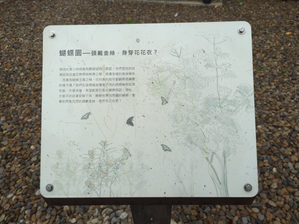 2025.07.20－霄裡好風光：大湳森林公園&亮亮健康樂園2841523