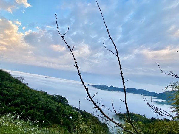 洗水山北峰.細道邦山(南峰)輕鬆撿--雲海花海看飽看滿   2022/2/101606996