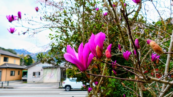 宮崎高千穗峽,愛情十字海3027816