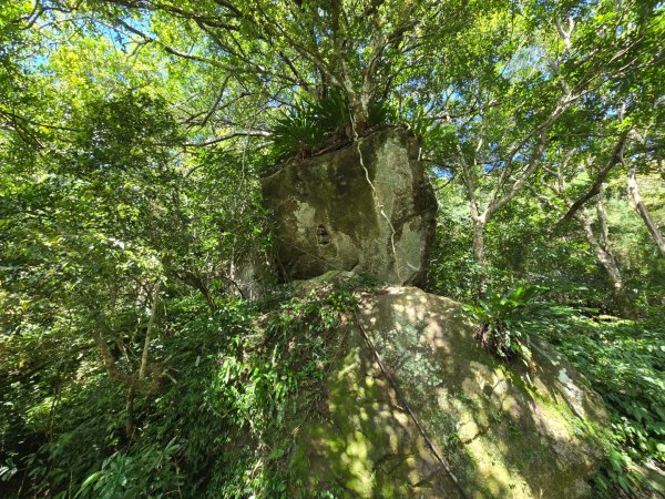 馬武督探索森林、外鳥嘴山2860641