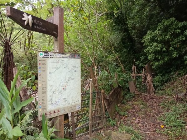 雙溪區中坑古道西線+中坑西山+內盤山土地公廟+中坑古道P字走2895315