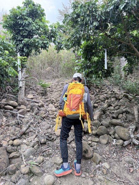 楠西悠遊(鹿陶洋.爐芝潭山)  2026.3.263027434