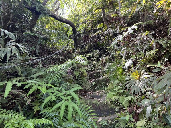 [微笑山線_第九段] 2025_0914 二格山系_皇帝殿東峰2889477