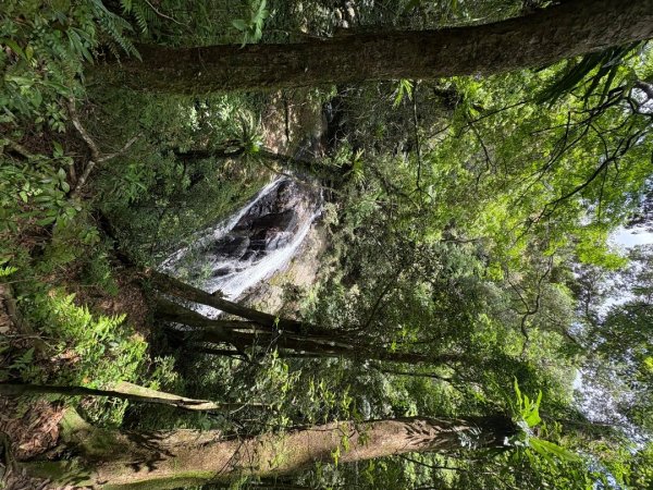 戲水（耘雲姊2786102