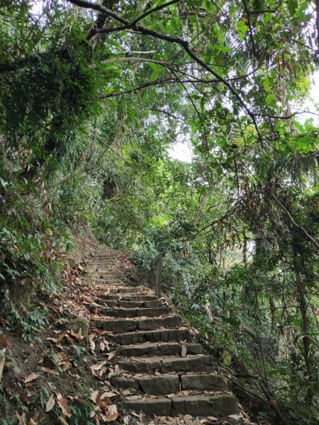 2023.12.23 崁頭山2833305