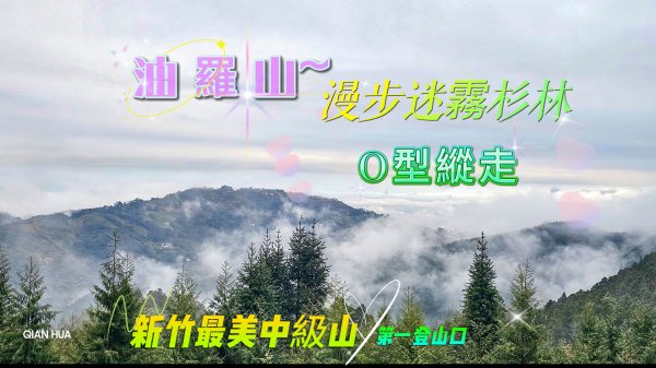 【油羅山】漫步迷霧杉林，新竹最美中級山，第一登山口O型縱走