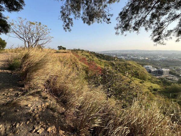 知高圳步道2711638