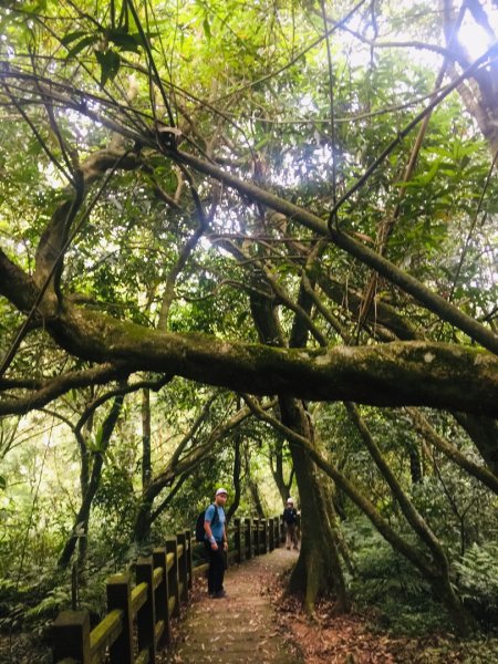 瓏美麗一週一步道（桃源谷）590062