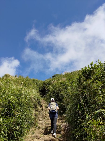 【台北市北投區】七星山主峰(苗圃登山口、小百岳002)2291932