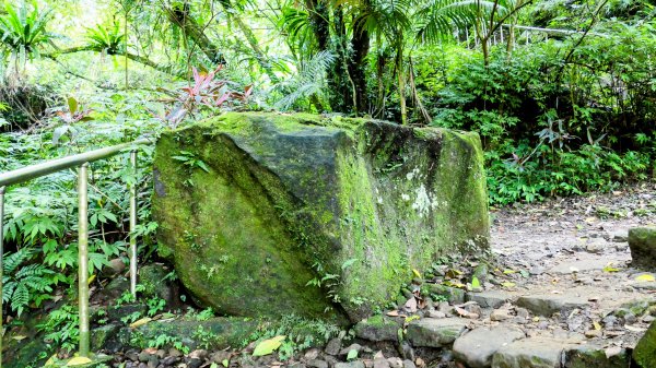 微笑山線銀河洞越嶺段2852818