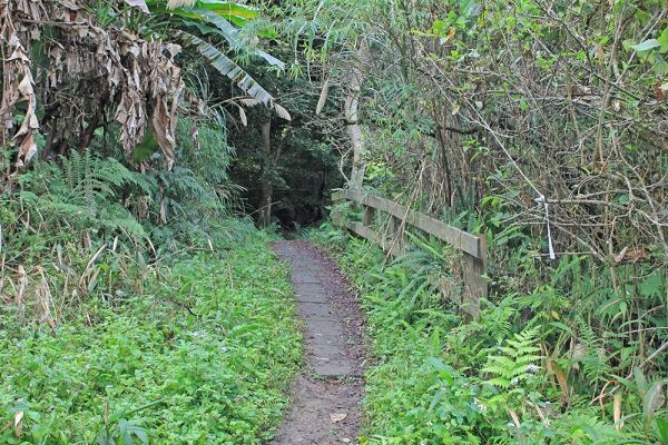 馬那邦山(珠湖線來回)375003