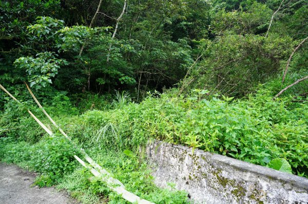 新北 烏來 下阿玉山2821597