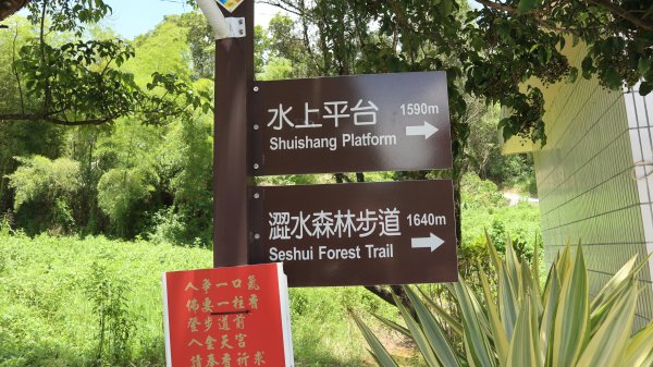 澀水森林步道登山健行趣(步道)2259789