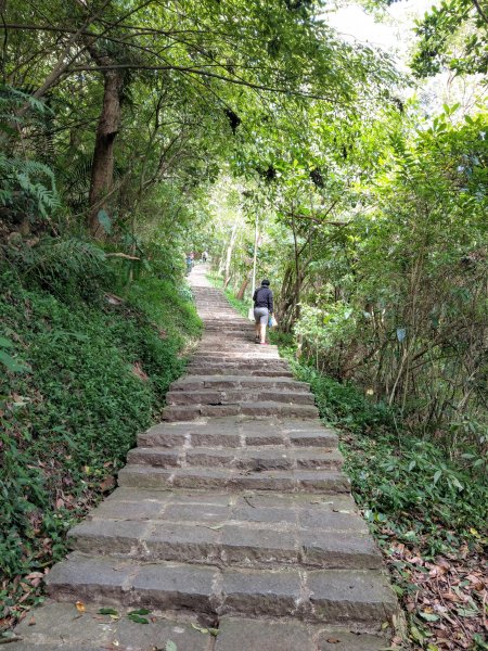 晴空萬里的硬漢嶺步道(觀音山)、凌雲寺往返＋原始土石山徑1489138