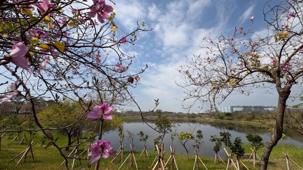 🚴‍♂️ 台南單車慢漫遊3003312
