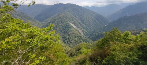 拉拉山國家森林遊樂區2752268