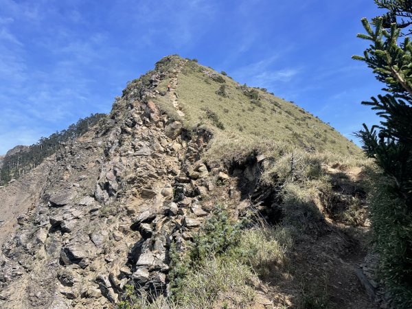 合歡北、西峰(三訪)113.04.212492809