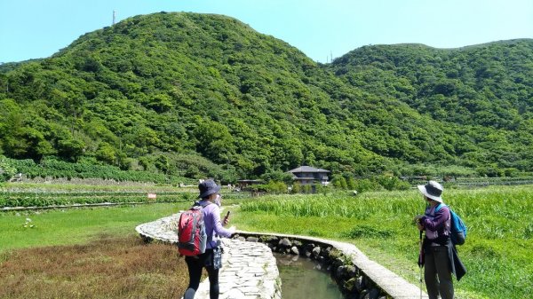 台北大縱走第三段（小油坑-風櫃嘴）202104301618182