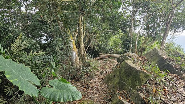 暗影山三進三出2366577