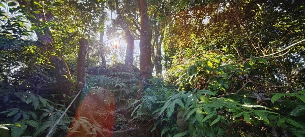 2025/09/29_仙山群峰2897336