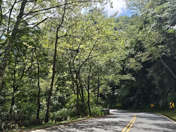 [山海圳_聖山之路_第一段] 2026_0802 自忠⮕鹿林山登山口3109088
