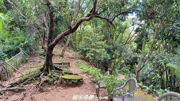 【南投草屯】蝴蝶紛飛可惜抵擋不了低海拔蚊子攻擊。 虎山步道x中興新村2856640