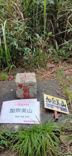 2025 4/5 加奈美山2754452