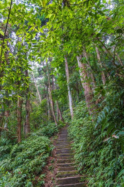 [苗栗]仙山2506032