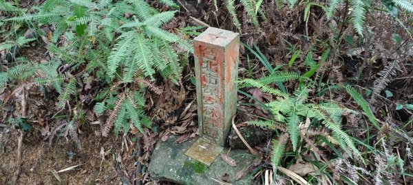 20220521_劍潭山1715693