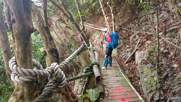 大津瀑布上尾寮山下沿山公路 2021年12月26日1562404