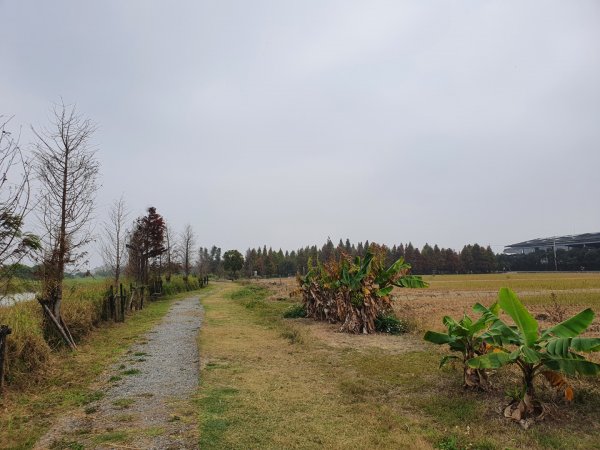 菁埔埤濕地步道1245829