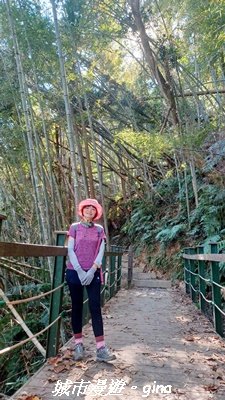 【南投魚池】後尖山步道2968299