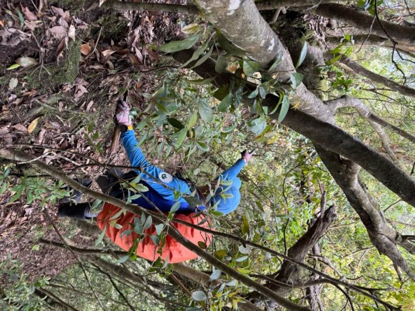 桂山路197巷 》呂奔山北峰 》呂奔山 》阿玉壩2755812