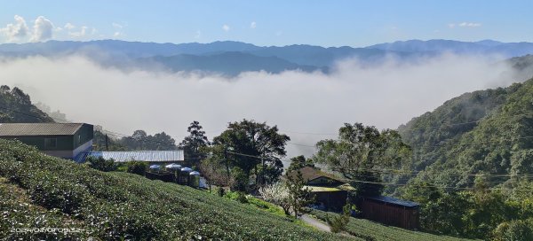 石碇趴趴走追雲趣-星空夜景/曙光日出雲海&差強人意流瀑/霧虹&月亮山櫻花&茶園梅花2415510