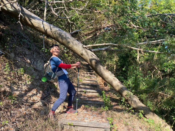 風櫃斗.牛稠坑.二坪山古道【遙知不是雪，為有暗香來】2703863