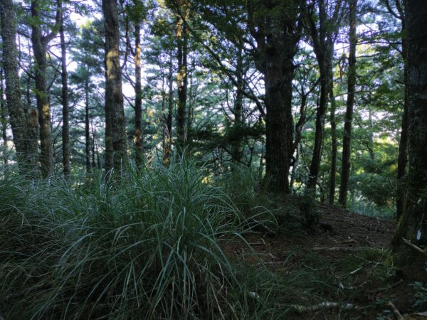 北一段(02/14)多加屯前峰2025_0906~132885120