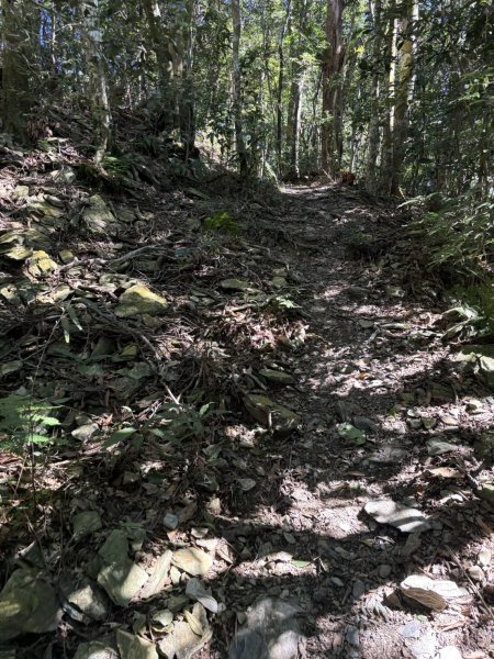 20251116鳴海山、網子山登山步道2938438