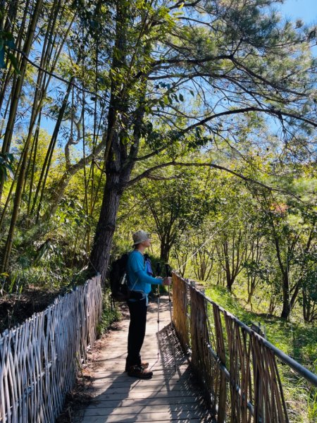 1140825司馬庫斯新巨木園區-司立富瀑布-部落觀景台2871160