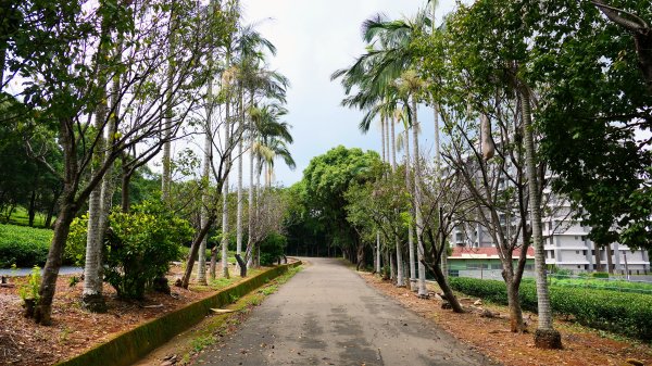 茶山步道,鎮南橋,鴉片菸潭,通學古道2602615