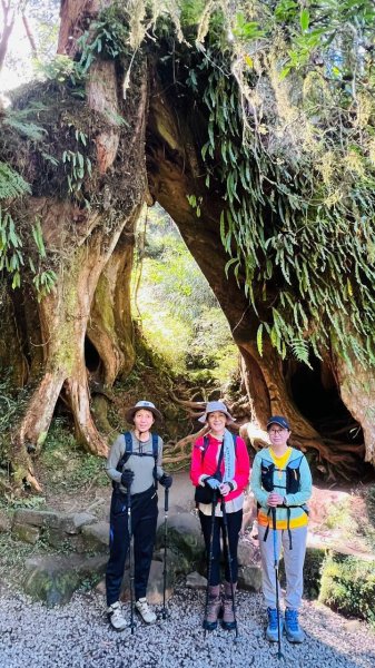 🌈10/11（日）消失的阿里山森林鐵路FB：熊熊趴爬走(富裕登山社)🌈3134727