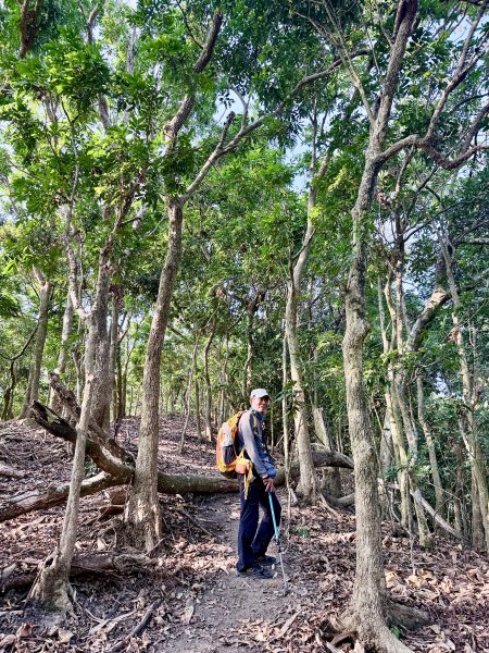 16年後重逢糖子恩山   2026.3.253026322