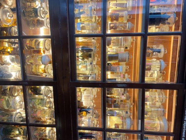 雨天備案💙 台灣博物館的古生代館-台大動植物館免費參觀-北投♨️季2807491