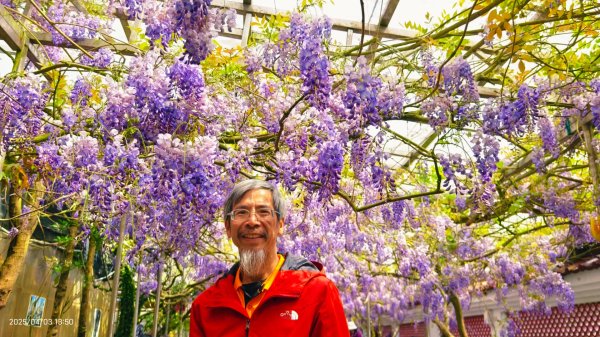 追花是簡單的快樂，賞花是恬淡的幸褔 4/32751458